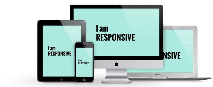 Responsive Website Design