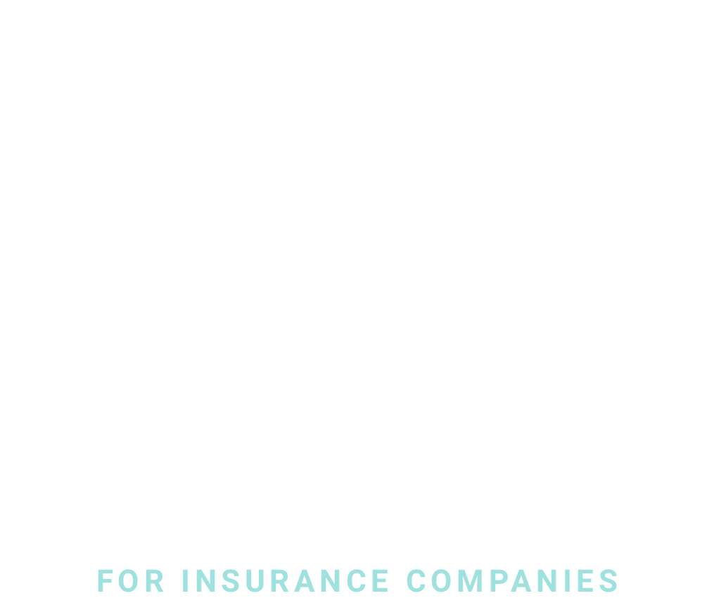 SEO For Insurance Companies