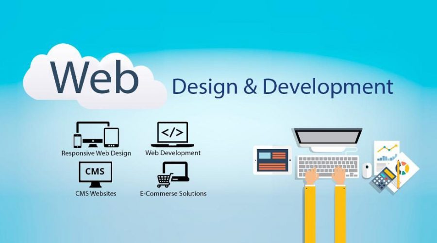 Website Development Company in Udaipur