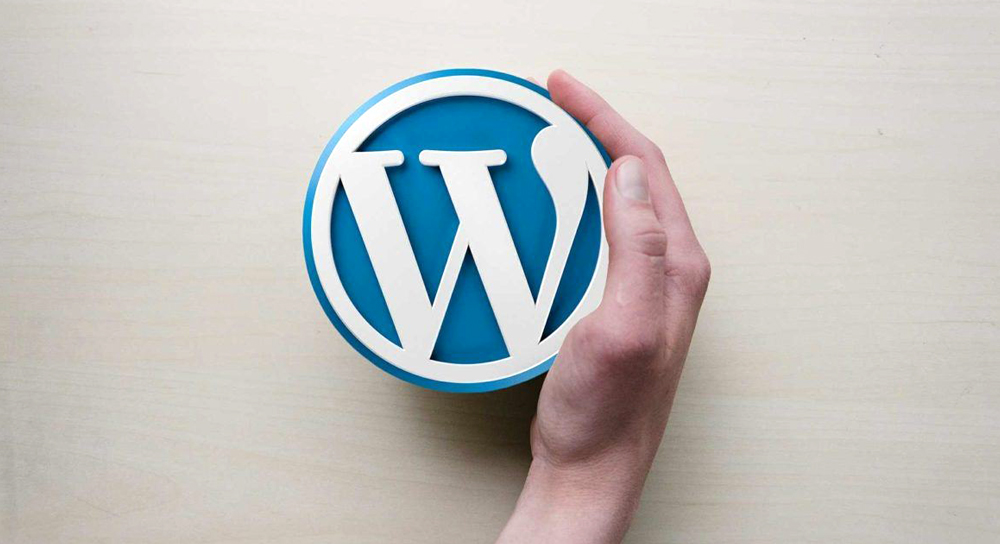 WordPress Development Company in Udaipur