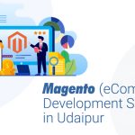 Magento (eCommerce) Development Solution in Udaipur